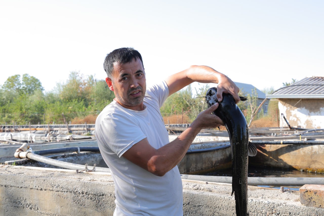 BIR HOVUZDAN BOSHLANGAN EKSPORT