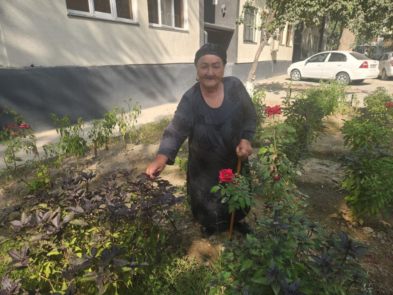 RAYHONLAR HIDIGA QO‘SHILGAN YANGI UMID