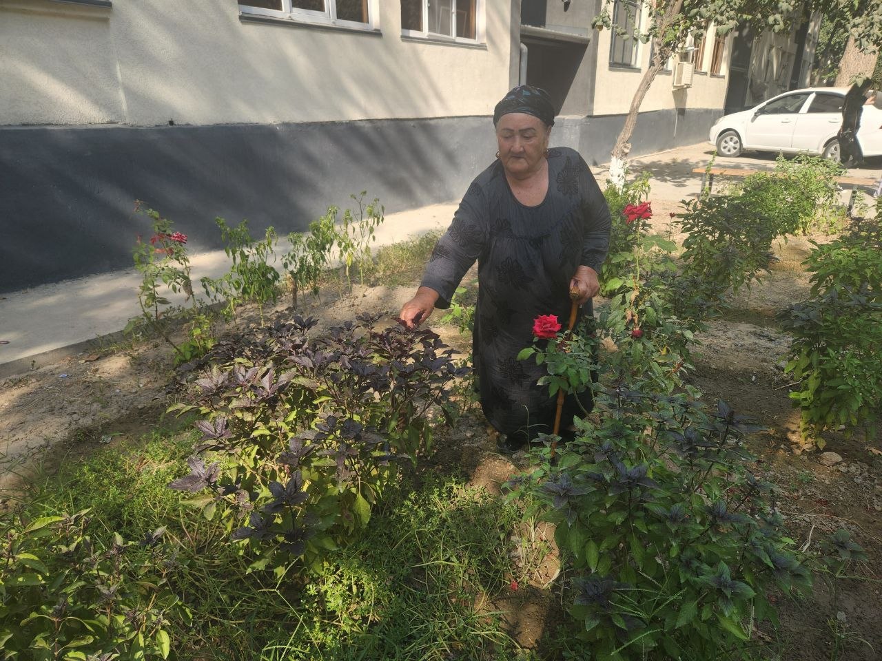 BIR  OGʻIZ  SAVOLDAN BOSHLANGAN  E’TIBOR